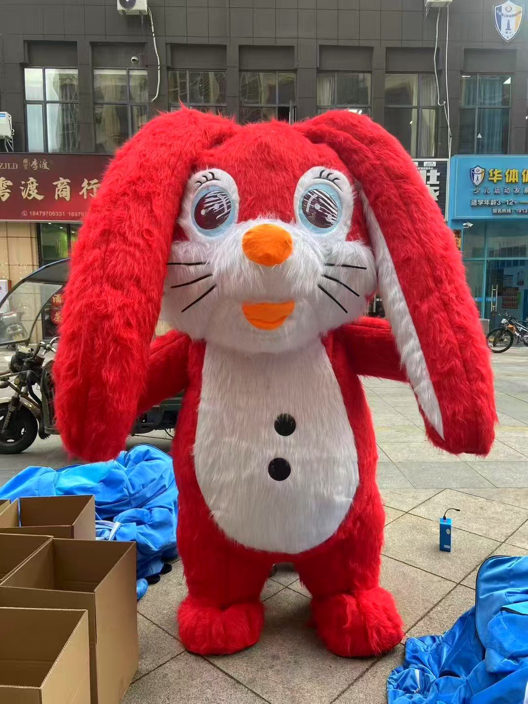 Bunny Mascot 
