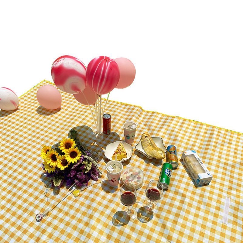 Picnic mat 2024