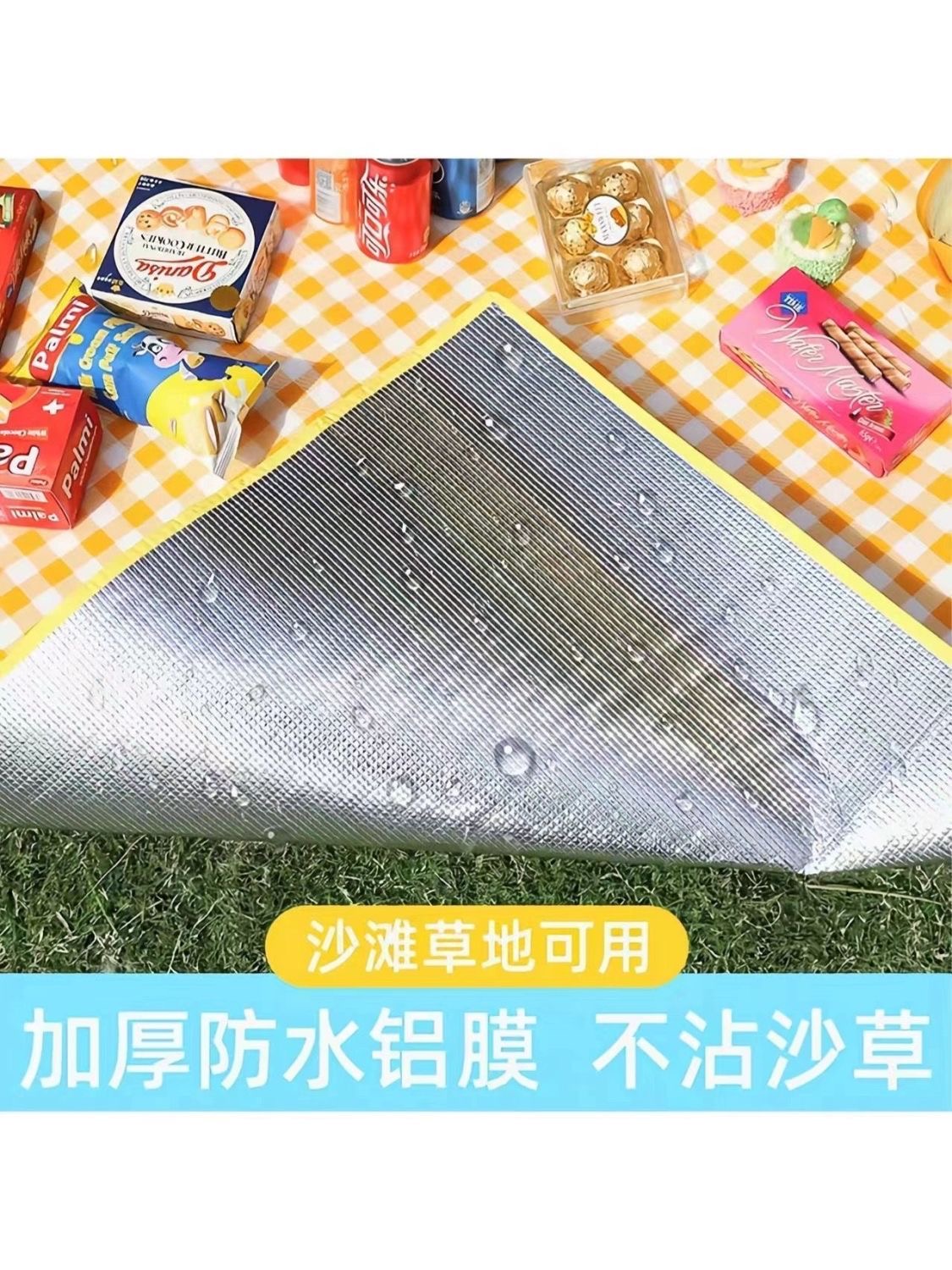 Picnic mat 2024