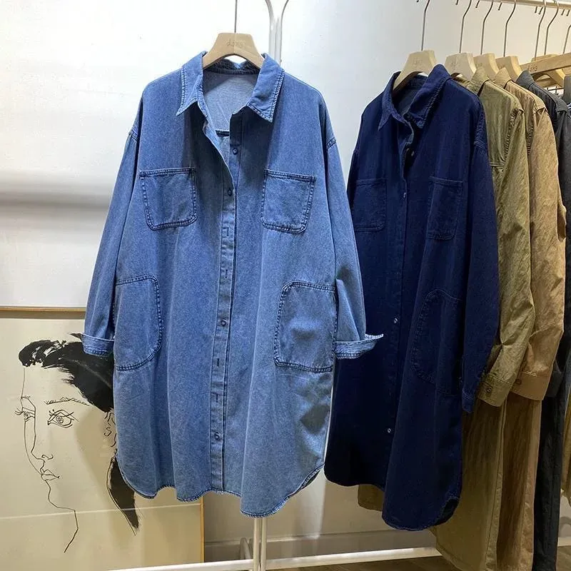 Denim Dress 2024